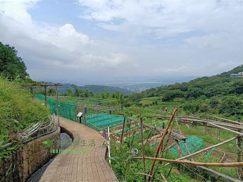 東昇水起|東昇步道(十八份圳步道)